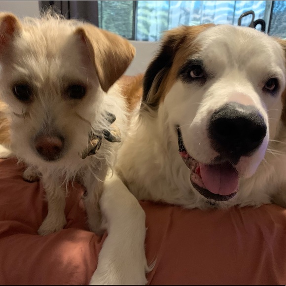 Meet your Posher, Bug! - Picture 6 of 12